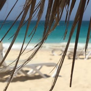 Meet your Posher, Lucy